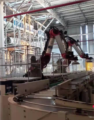 Dismantling/palletizing robot